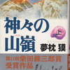 「神々の山嶺（いただき）」上下　夢枕獏　感想