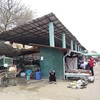 ウズベキスタン、タシケントのローカル市場、蚤の市 Yangiabad Bazaar