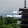 桜や紅葉と富士山と忠魂塔のコラボが美しい、山梨県富士吉田市にある新倉山浅間公園に行ってみた！