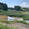 順調に行ってるからこそ、立ち止まろう