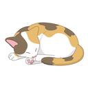 法律を学ぶ猫さん