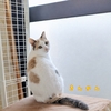 フワモフのきんかんちゃん　人馴れ修行頑張ってます