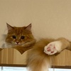 久しぶり。