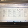 【苦行】カスパの見える化【でもやらないと】