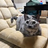 ちょっと休憩