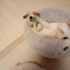 少しずつ始めました