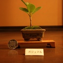 分かりにくい事を丁寧に解説するブログ