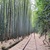 国鉄倉吉線跡ポタ②『日本一美しい廃線跡』泰久寺駅跡付近