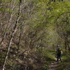 三辻山遊山　山わらう