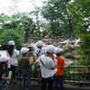 1・2年生遠足　羽村動物公園