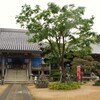 四国八十八ヶ所 第九番 法輪寺 ( 2012-05-025 )