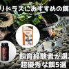 コリドラスにおすすめの餌！飼育経験者が選ぶ超優秀な餌5選！