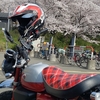 モンキーはいろいろな意味でおもしろいバイクかも🐵