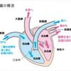 心臓病の予後