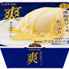 【ロッテ】爽　贅沢濃味バニラが発売！！