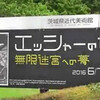  「エッシャーの世界〜無限迷宮への夢」展