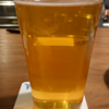 Quasar Pale Ale (Pale Ale) を飲んでみた