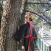 名古屋城内に、鵜脅しの案山子