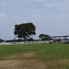 葛西臨海公園まで走ってきました