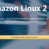 Amazon Linux 2 が出たので VMware ESXi で動かしてみる