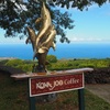 どこがオススメ！？ハワイ島のコーヒー農園でJoe コーヒをオススメする理由