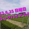 2023,6,25 日曜日 トラックバイアス予想 (東京競馬場、阪神競馬場、函館競馬場)