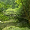 山吹水源で緑と湧水を撮る｜三脚を忘れて後悔した5秒露光