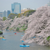 【昔の写真の修復・復元の専門店】東京　千鳥ヶ淵　鮮やかに