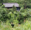 片陸さんの世迷いごと