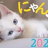 2023年のカレンダー注文しました(もちろん猫)