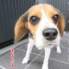 ワタシって美人すぎるかも？