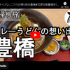 日帰り旅シリーズ第２３弾＠豊橋：カレーうどんの想い出