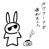カワクーナが壊れました