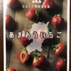 ふるさと納税返礼品（12）福岡県太宰府市「苺」4パック