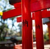 根津神社乙女稲荷社鳥居