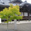 雨の粉河寺