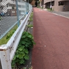 堀田坂（港区）