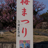 梅を見に行ってきました 〜名古屋・荒子公園