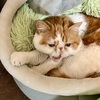 天の災厄〜お目目回復編