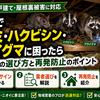 東京・埼玉・千葉・神奈川でネズミ・ハクビシン・アライグマに困ったら｜信頼できる駆除業者の選び方と対策ポイント