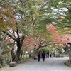 チャリキでGO  ほや！紅葉狩り行こう
