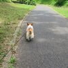 保土ヶ谷公園