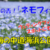 《旅日記》【写真館585】多くの花が見ごろを迎えていた海の中道海浜公園