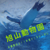 旭山動物園　入園料値上げいくらに？見どころは？