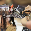 利尻昆布カラーでもかゆみが出る？