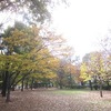 東大和南公園_紅葉（東京都東大和市）