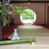 【鎌倉いいね】紫陽花がまだ咲いていない明月院へ。