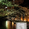 街のネオンと灯りをバックに、ライトアップされた高瀬川の桜 の画像です。
