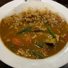 いつもの日常20250607【ココイチのカレー高い】