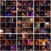 夏越ノ大祓2024を終えて
